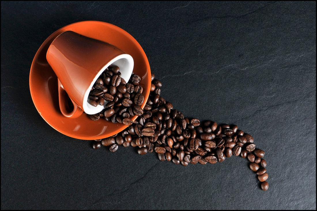 ゲイシャコーヒーとは?味わいの魅力と選び方・楽しみ方ガイド