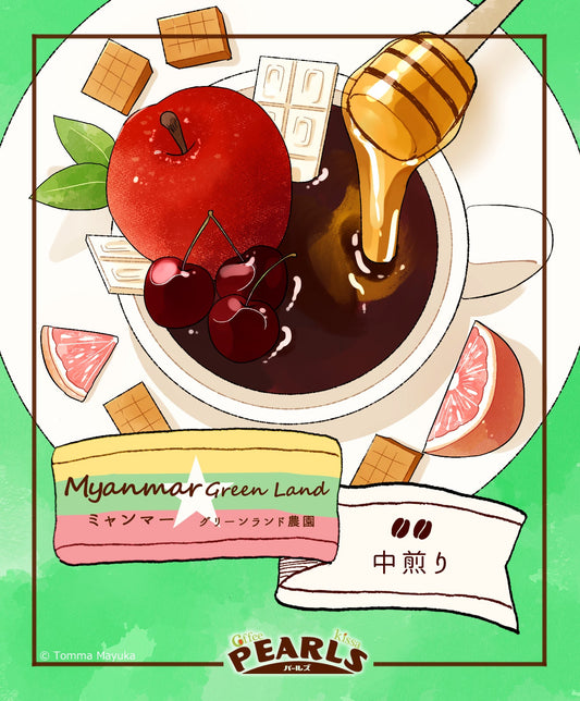 【ミャンマー　グリーンランド農園　ゲイシャ】