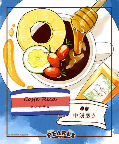 コスタリカ パッケージのイラスト